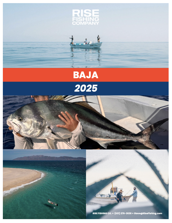 Baja Rooster Fishing Trip 2025